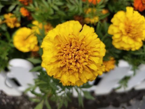 2021年最火的伤感说说汇总75句