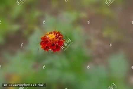关于欺骗背叛的伤感说说