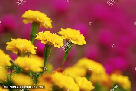 关于不幸中的万幸朋友圈说说句子(精选20句)
