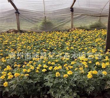 儿童节给女朋友的文案 六一儿童节发朋友圈的文案合集67句