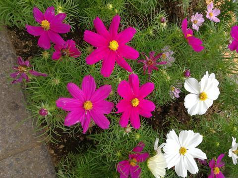 2021六一儿童节祝福语句子汇总33句