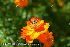 早安正能量简单一句话2021朋友圈说说86句