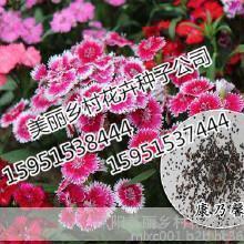 最美的风景一直在路上的说说(精选33句)