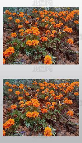 中秋微信祝福简短句 中秋节微信朋友圈祝福语(精选36句)