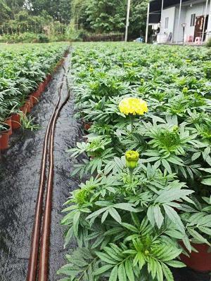 发朋友圈让人心疼到窒息的句子说说大全(19句)