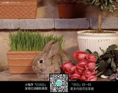 理不胜辞