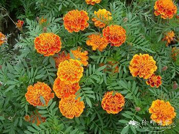 形容美食美味的优美句子(精选68句)