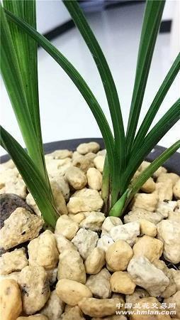 我们已不再年轻的句子 发现自己不再年轻说说(精选70句)
