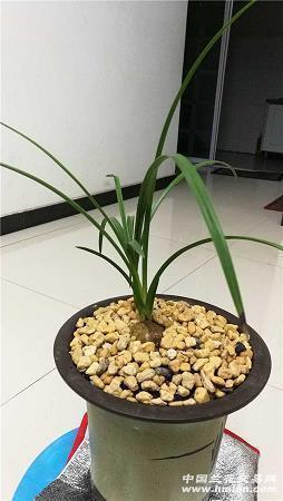 一眼惊鸿的温柔仙句 很仙的温柔句子