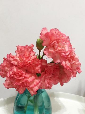 心灰意冷的个性签名 我终究一步一步远离了你的世界