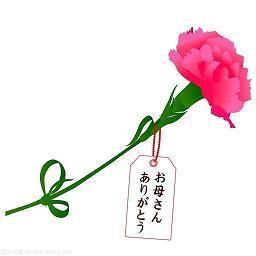 古风仙气句子 超仙的古风句子29句