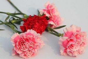 关于去菜场买菜的说说