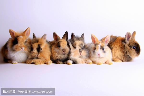 大含细入