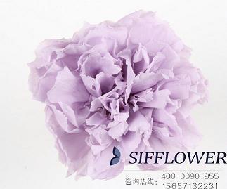 学生经典搞笑说说89句