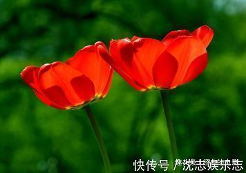 一句话说透人生 感慨人生的句子(精选81句)