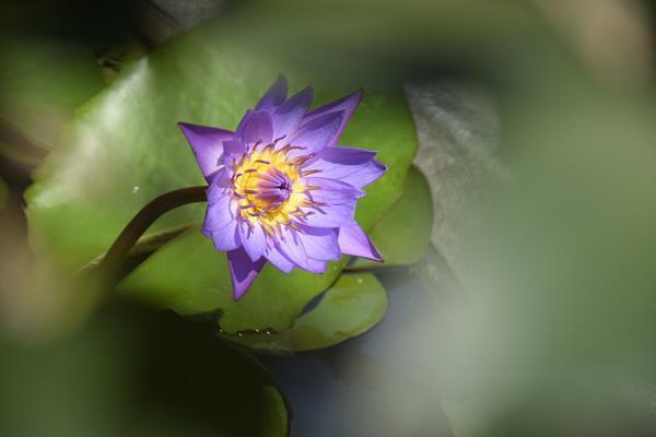 感慨激昂