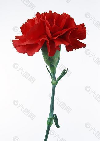 幼儿教师六一儿童节朋友圈说说(精选36句)