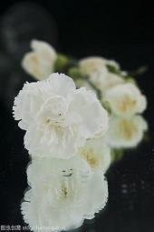 夜深人静句子说说短语 人生如梦，我总失眠，人生如戏，我总笑