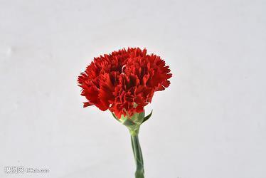 决定放手不爱了伤感说说 好爱好爱却不能在一起的伤感说说