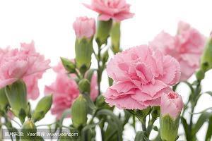 今日霜降朋友圈，霜降节气说说 晚秋已至!(精选59句)