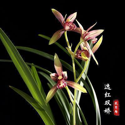 关于心情好差的说说(精选21句)