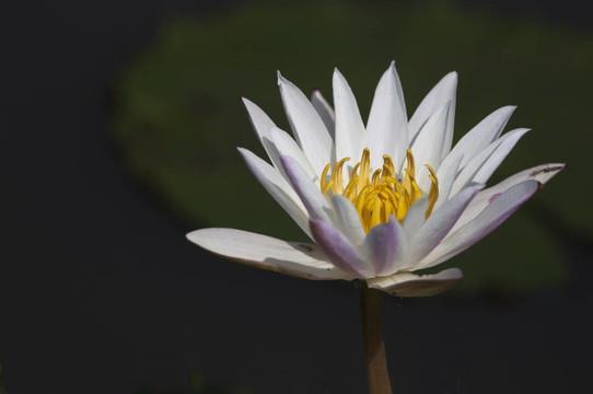 毫不留情