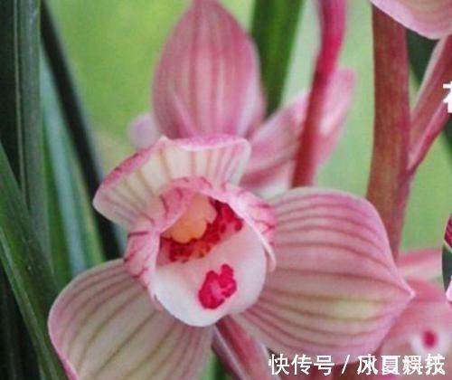 夸男人帅的话要幽默的 关于夸男生的话