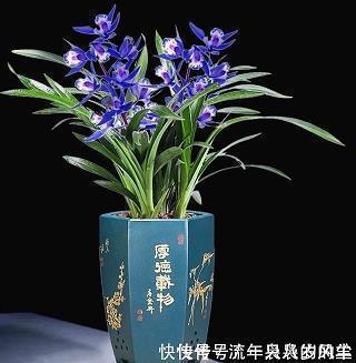 形容女人心累的句子合集80句