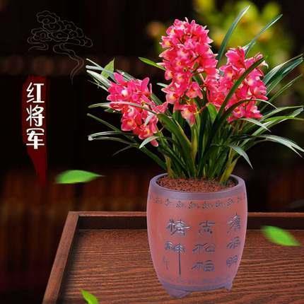 对暗恋的人失望的句子说说心情