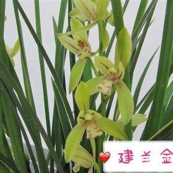 很有内涵正能量的qq霸气句子15句