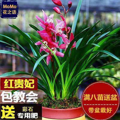 qq说说霸气超拽男生 比较拽的男生个性说说大全