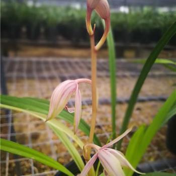 又到了还花呗的日子说说 还花呗的搞笑说说23句