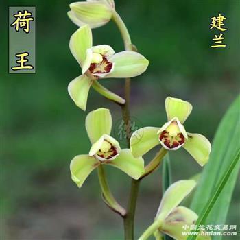 朋友圈天气热的一句话说说 六月天气很热的说说大全