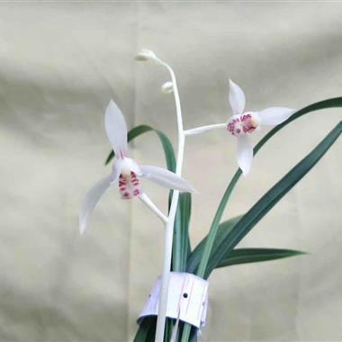 教师节空间心情说说短句