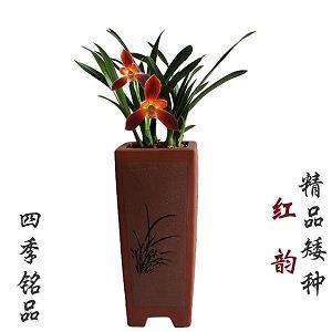 一晃就老了感悟人生的经典语录合集30句