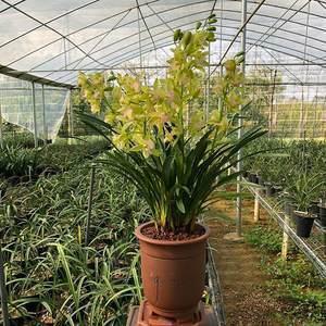 【精品】2021五四青年节发朋友圈微信文案汇编96句