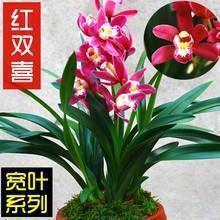 开学祝福孩子的话语经典寄语(精选107句)