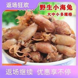 竭智尽忠