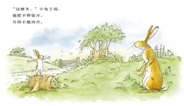 菲才寡学
