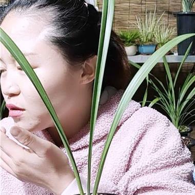 伤感的一段话想流眼泪 流眼泪的说说(精选29句)