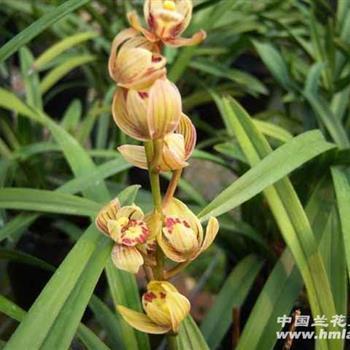 六一儿童节心情说说大全 六一儿童节的心情短句2021