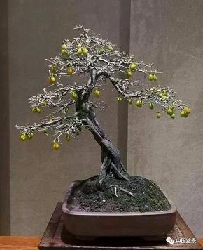 下雪天发朋友圈的说说 关于下大雪说说心情短语句子(精选18句)