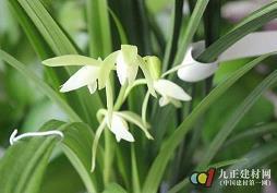 开心快乐积极阳光句子收录25句