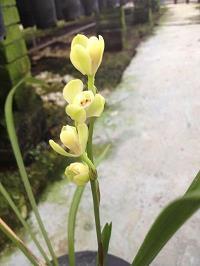 感冒生病发的朋友圈文案