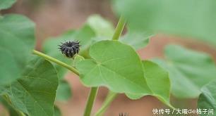 悔之何及