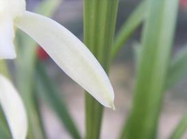 关于元旦节文案祝福语简单又霸气(精选54句)