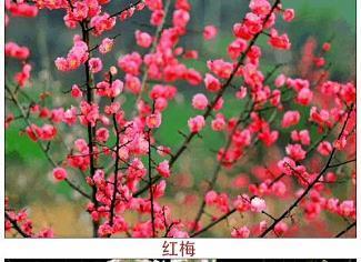 天理不容