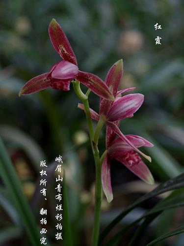千言万语汇成一句话感情句子(精选32句)