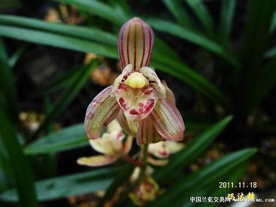 春游寄语一句话 春游的句子短句唯美说说汇编73句