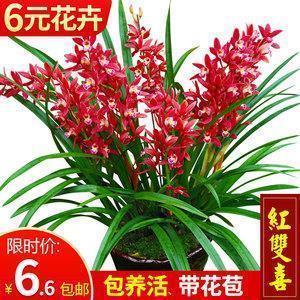 拍到美景发朋友圈怎么说 发风景朋友圈怎么说(精选19句)
